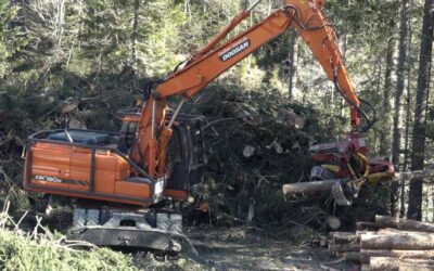 Sicherheitsholzerei Cholerenschlucht Adelboden