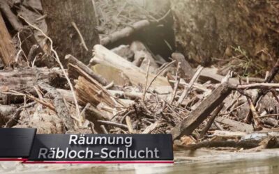 Neue Filme in der Galerie